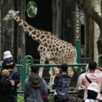Libur Nataru, Jam Operasional Taman Margasatwa Ragunan Diperpanjang Mulai Pukul 06.00 WIB