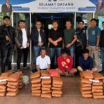 BNNP Sumbar Gagalkan Peredaran 100 Paket Ganja di Agam, Tiga Pengedar Dibekuk