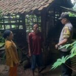 Lima Kambing Warga Parung Bogor Hilang, Polisi Selidiki Penemuan Jeroan di Kandang