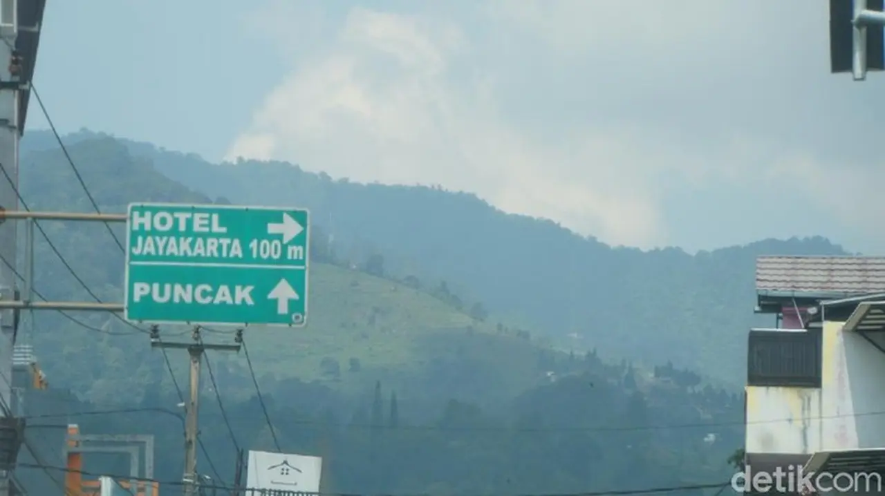 Ilustrasi Puncak (ahmad Masaul Khoiri/detikcom)