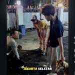 Anjing Liar di Bandung Serang Kucing Hingga Kritis, Pemilik Diminta Bertanggung Jawab Penuh