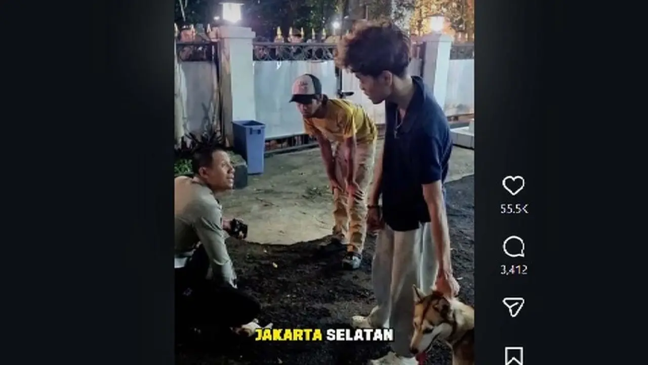 Anjing Menggigit Kucing Hingga Sekarat Di Bandung. (dok. Istimewa)
