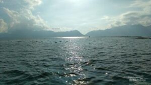 BMKG Ungkap Potensi Tsunami Danau Maninjau Akibat Aktivitas Patahan Kajai-Talamau