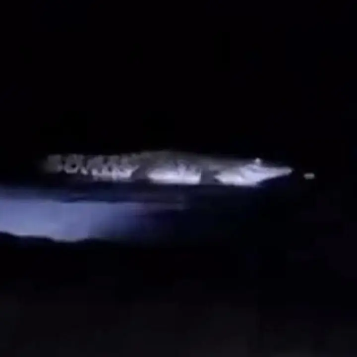 Video Buaya di Pantai Malang Beredar, Polisi Imbau Warga Segera Lapor Jika Melihat