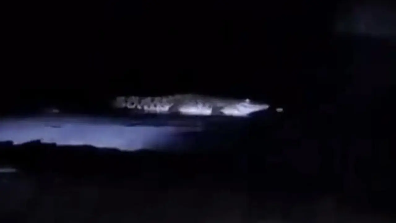 Buaya Di Pantai Watu Leter Kab Malang (dok. Istimewa/tangkapan Layar)