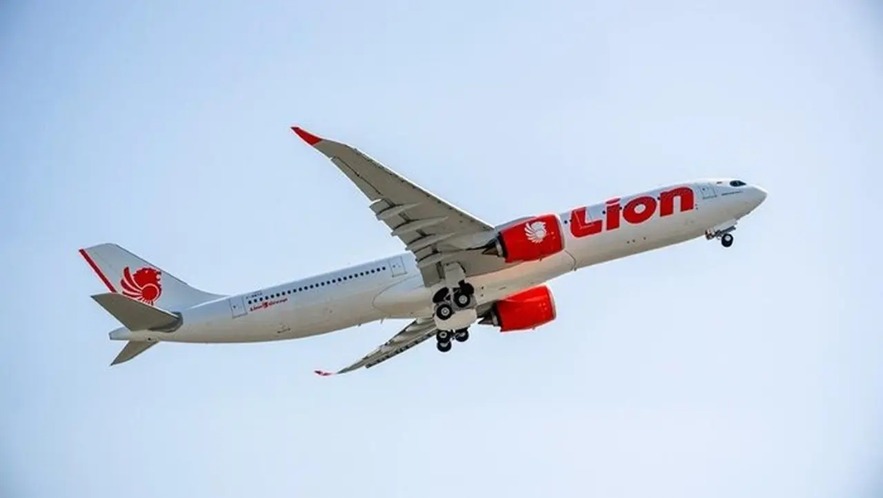 Ilustrasi Pesawat Lion Air (foto: Lion Air)