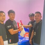 Polisi Tangerang Ungkap Jaringan Penyelundupan 30.000 Benih Lobster Ilegal ke Singapura