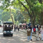 Libur Natal 2025: Taman Margasatwa Ragunan Dibanjiri Pengunjung Sejak Pagi