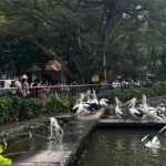 Taman Margasatwa Ragunan Tetap Buka Selama Libur Nataru 2025/2026, Cek Jadwal Lengkapnya