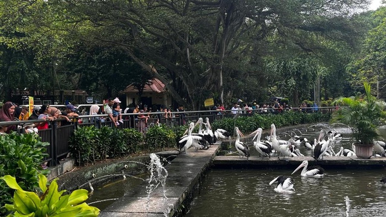 Taman Margasatwa Ragunan Tetap Buka Selama Libur Nataru 2025/2026, Cek Jadwal Lengkapnya