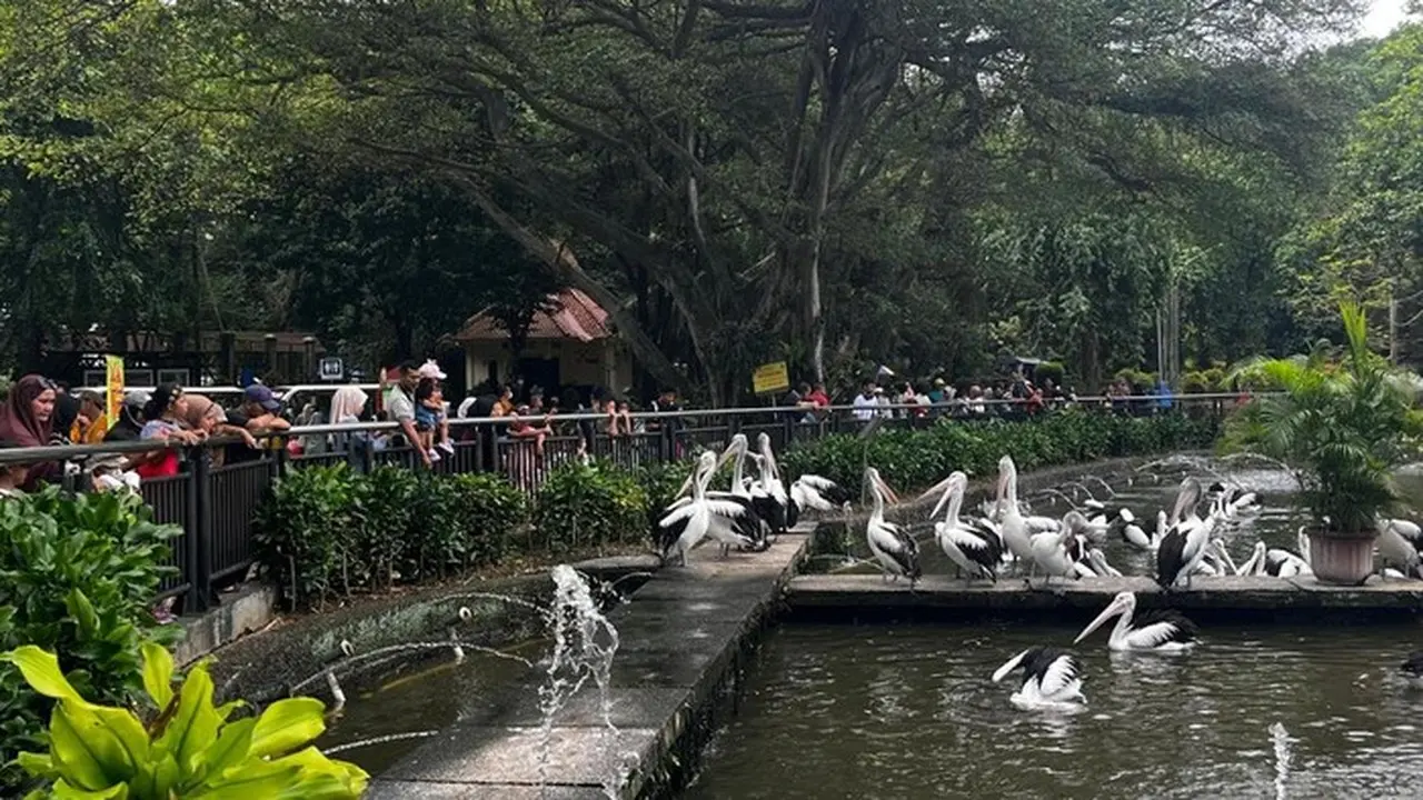 Taman Margasatwa Ragunan (foto: Rumondang/detikcom)