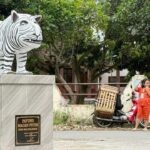 Patung Macan Putih Kediri Viral, Kepala Desa Tegaskan Murni Dana Pribadi