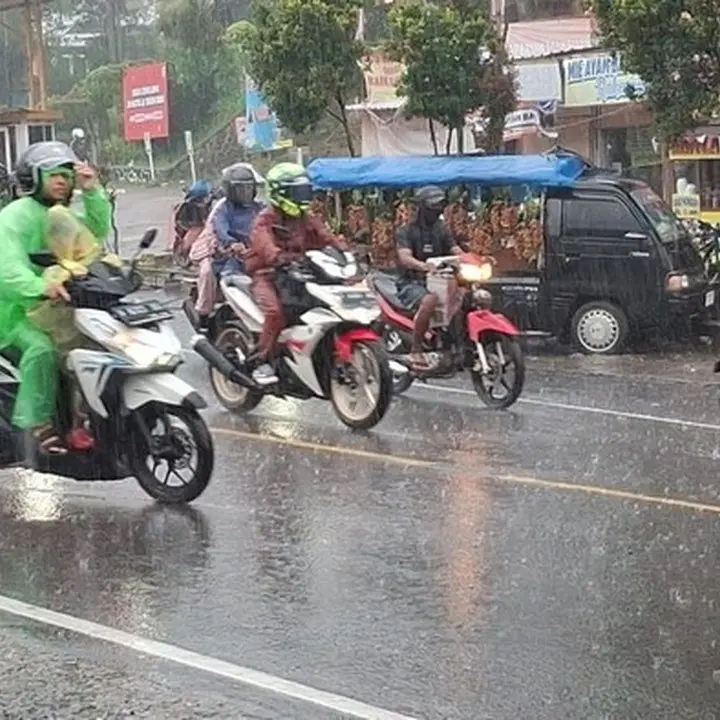 Hujan Deras Guyur Puncak Bogor, Pengendara Diimbau Waspada Bencana Longsor dan Pohon Tumbang