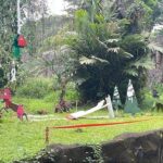 Ragunan Sajikan Feeding Gorila Bertema Natal dan Tahun Baru, Target 80 Ribu Pengunjung