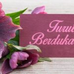 Duka Mendalam: Romo FX Mudji Sutrisno SJ Wafat di Usia 71 Tahun