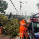Hujan Angin Terjang Kemang Bogor, Pohon Tumbang dan Sejumlah Bangunan Rusak