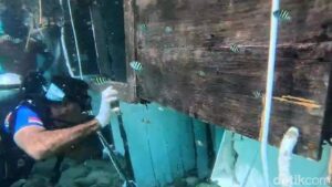 Bangkai Kapal Pelatih Valencia Ditemukan di Labuan Bajo, Jenazah Anak Fernando Ditemukan