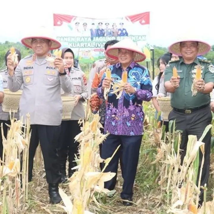 Panen Raya Jagung di Tigaraksa: Polresta dan Pemkab Tangerang Raih 2 Ton Hasil Melimpah