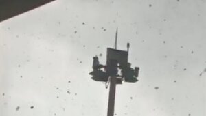 Puting Beliung Terjang Parkiran Bandara Juanda, Pohon Tumbang