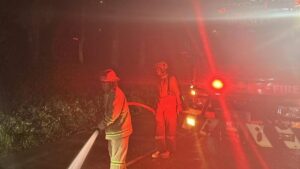 297 Kebakaran Melanda Bogor Sepanjang 2025, Cibinong Jadi Lokasi Terbanyak