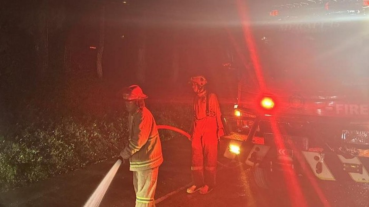 297 Kebakaran Melanda Bogor Sepanjang 2025, Cibinong Jadi Lokasi Terbanyak