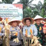 Dukung Kedaulatan Pangan, Polda Riau Panen 100 Ton Jagung dari 36 Hektare Lahan