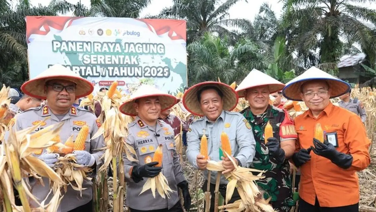 Polda Riau Panen 100 Ton Jagung. (dok. Polda Riau)