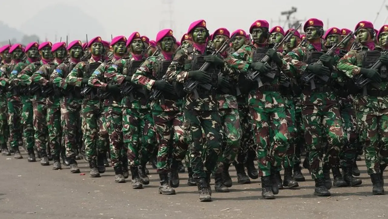 Ilustrasi Tni (dok. Istimewa)