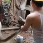 Ular Sanca 5 Meter Gegerkan Lebak, Mangsa Dua Ekor Ayam di Kandang Warga