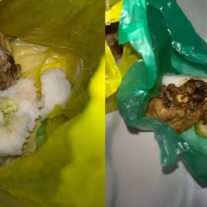 Viral Makanan Bergizi Balita-Bumil Disajikan Pakai Kantong Plastik, BGN Buka Suara
