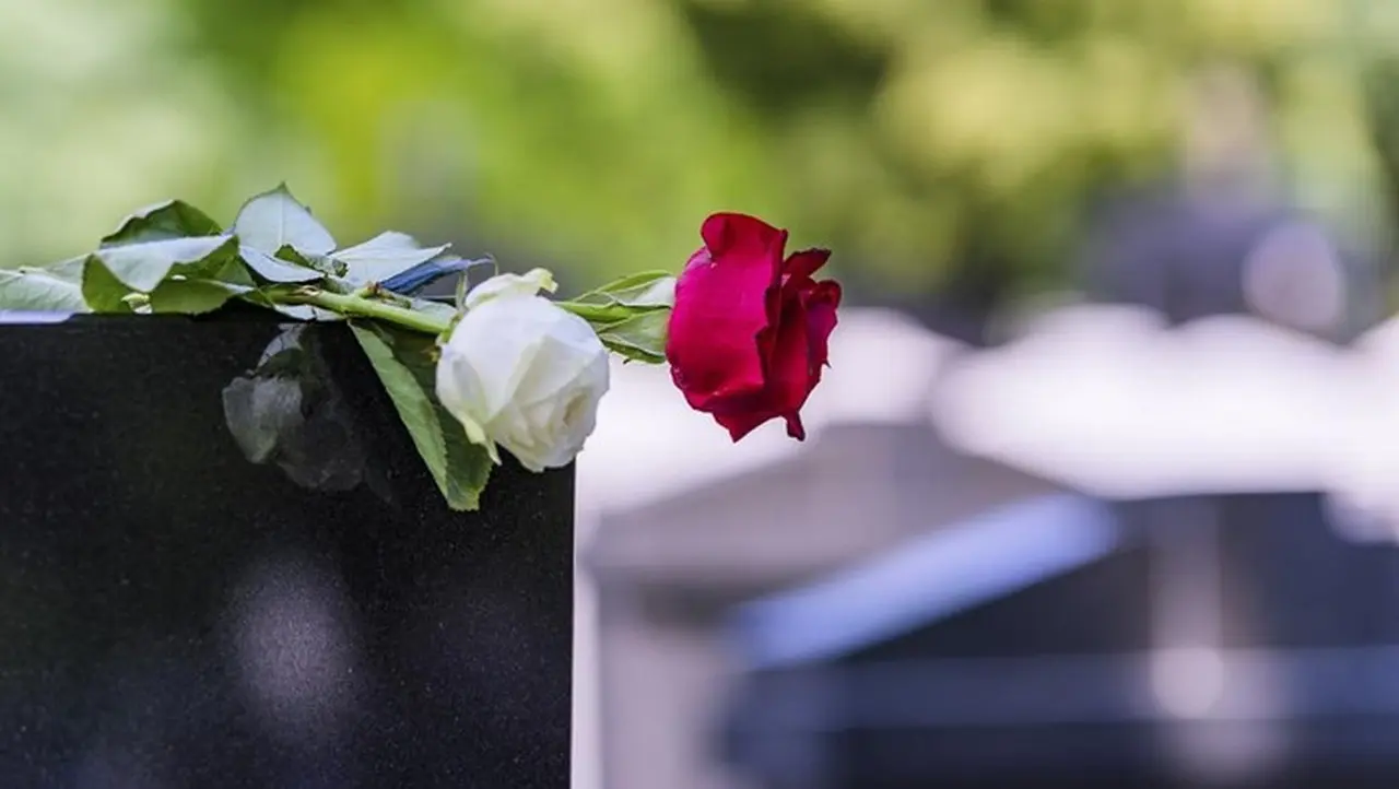 Foto: Getty Images/istockphoto/professionalstudioimages