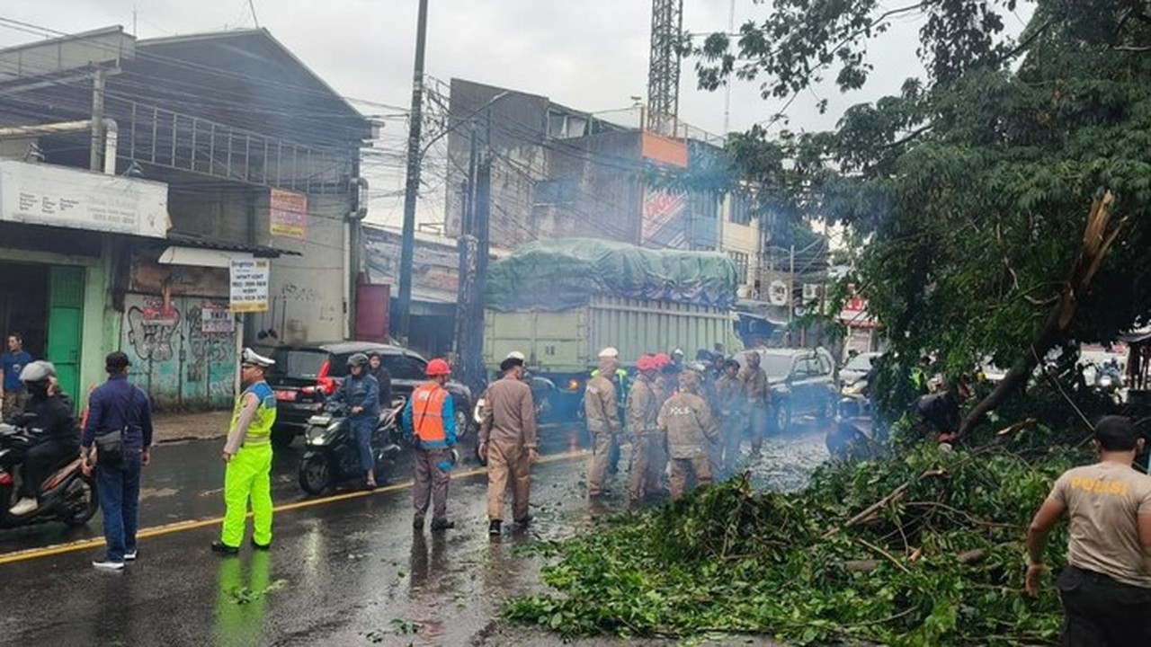 Pohon Tumbang Akibat Hujan dan Angin Kencang Timpa Mobil di Ciputat Tangsel