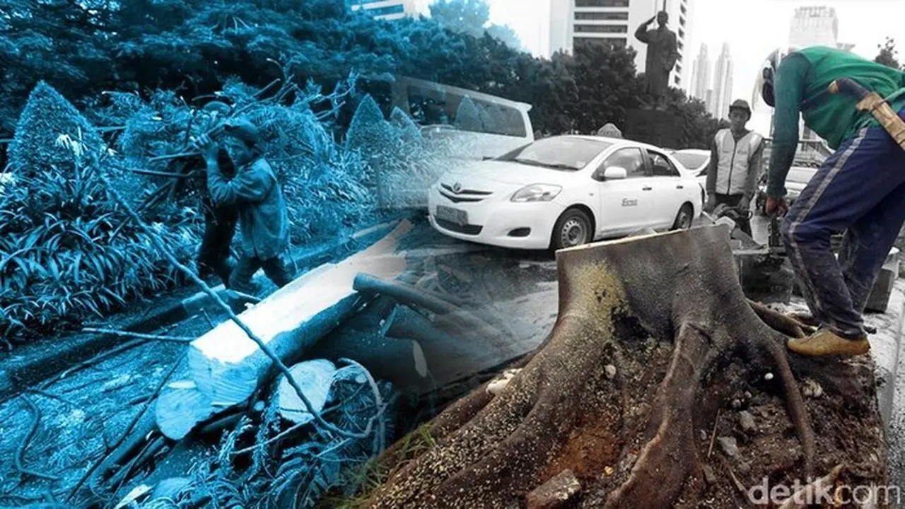 Foto: Ilustrasi Pohon Tumbang (zaki Alfarabi/detikcom)