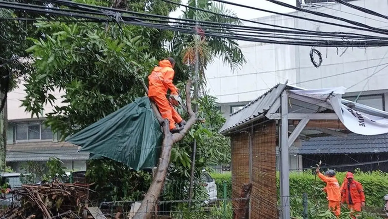 Sejumlah Pohon Tumbang Di Jakarta Imbas Hujan Deras Dan Angin Kencang (dok Bpbd Dki Jakarta)