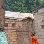 Pohon Tumbang Timpa Tiga Rumah Warga Ciseeng Bogor Akibat Hujan dan Angin Kencang