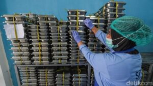 803 Warga Grobogan Diduga Keracunan Menu Ayam Program Makan Bergizi Gratis