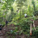 Longsor Perbukitan Menoreh Borobudur, Akses Antardesa Terputus Akibat Hujan Deras