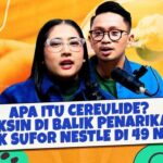 BPOM Tarik Susu Formula Nestle di Indonesia Akibat Dugaan Toksin Cereulide