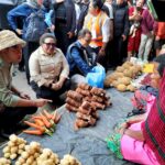 Wamendagri Ribka Haluk Dampingi Gibran Rakabuming, Pastikan Percepatan Pembangunan Papua