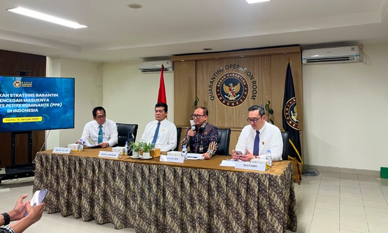 Barantin Perketat Arus Masuk Kambing-Domba Antisipasi Virus PPR dari Asia Tenggara Barantin Perketat Arus Masuk Kambing-Domba Antisipasi Virus PPR dari Asia Tenggara