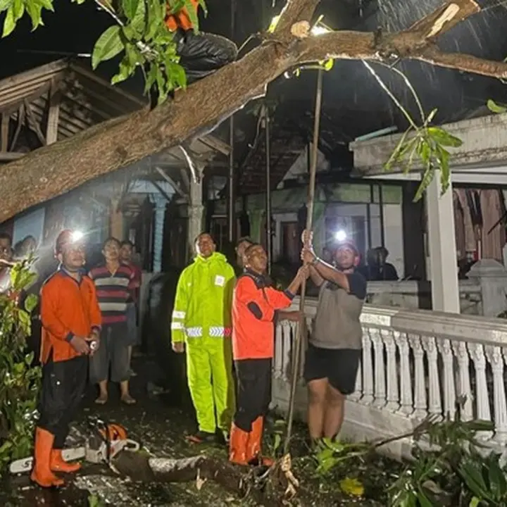 Angin Puting Beliung Terjang Probolinggo, 8 Rumah Rusak dan Pohon Tumbang