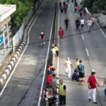 Oknum ASN Bina Marga Jaksel Terbukti Ilegal Pangkas Pohon, Hukuman Disiplin Menanti