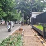 Oknum ASN Bina Marga Terancam Hukuman Akibat Tebang Pohon Ilegal di Jaksel