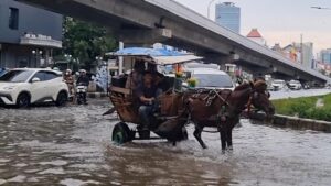 Banjir Kelapa Gading Jadi Ladang Cuan Kusir Delman, Tarif Sekali Jalan Rp 100 Ribu