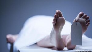 Dua Pencuri Sapi di Pringsewu Ditembak Polisi, Satu Tewas