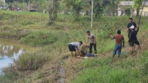 Buaya 3 Meter Terkam Ibu Paruh Baya di Tarakan, Polisi Berhasil Selamatkan Korban