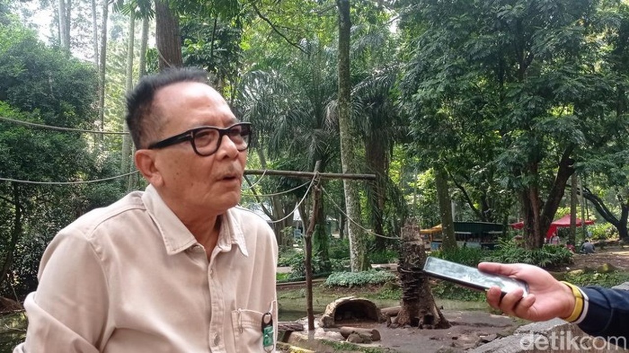 Putusan MK: Anggota Polri Aktif Bisa Menjabat Jabatan Sipil Sesuai Fungsi
