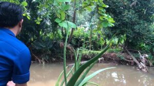 Buaya ‘Lisa’ Muncul di Dekat SMAN 5 Depok, Damkar Turun Tangan Koordinasi dengan BKSDA