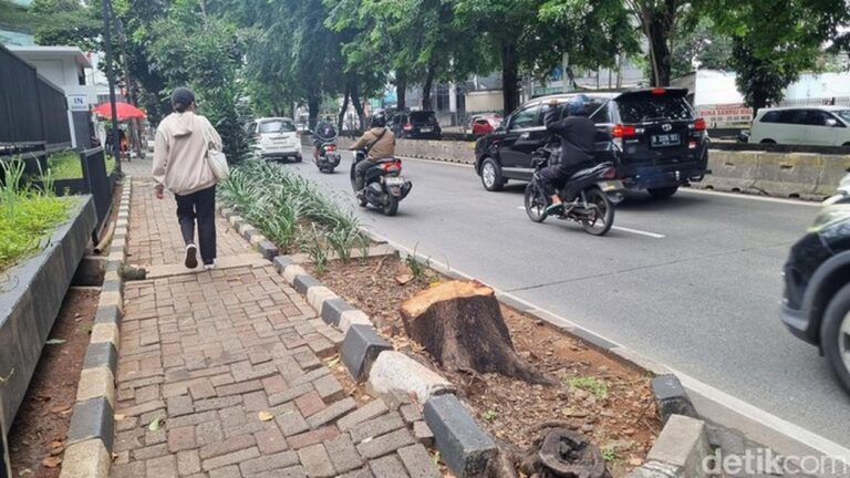 ASN Jakarta Selatan Diberi Sanksi Mutasi Akibat Tebang Pohon Ilegal di Kebayoran Lama