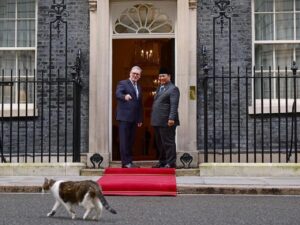 Prabowo Subianto Bertemu Larry the Cat di Downing Street, Kenangan Manis dengan Kucing Kesayangan PM Inggris